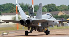 FA-18 Espagnol 0007  LERX NET.jpg